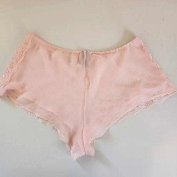 Victoria's Secret Pink Sheer See Through Panty Panties Bloomers New NWT Lace - Picture 4 of 7